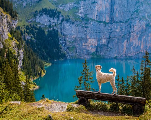 Destination Pakistan